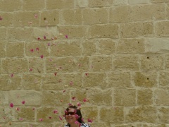 &nbsp;Select this image to see a larger version. 