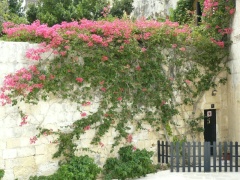 &nbsp;Select this image to see a larger version. 