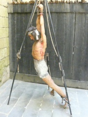 &nbsp;Select this image to see a larger version. 