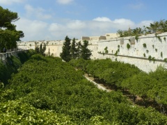 &nbsp;Select this image to see a larger version. 