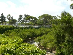 &nbsp;Select this image to see a larger version. 