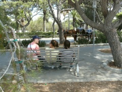 &nbsp;Select this image to see a larger version. 