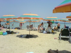 &nbsp;Select this image to see a larger version. 