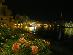 &nbsp;Select this image to see a larger version. 