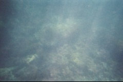 &nbsp;Select this image to see a larger version. 