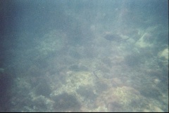 &nbsp;Select this image to see a larger version. 