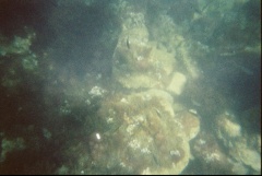 &nbsp;Select this image to see a larger version. 