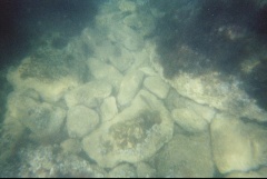 &nbsp;Select this image to see a larger version. 