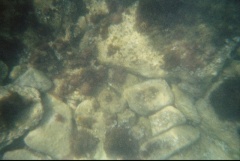 &nbsp;Select this image to see a larger version. 