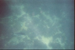 &nbsp;Select this image to see a larger version. 