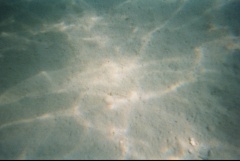 &nbsp;Select this image to see a larger version. 