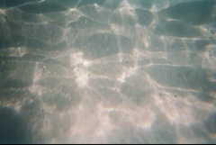 &nbsp;Select this image to see a larger version. 