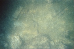 &nbsp;Select this image to see a larger version. 