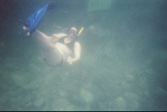 &nbsp;Select this image to see a larger version. 