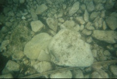 &nbsp;Select this image to see a larger version. 