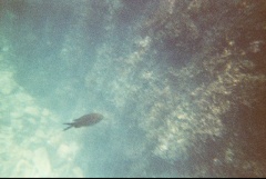 &nbsp;Select this image to see a larger version. 