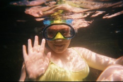 &nbsp;Select this image to see a larger version. 