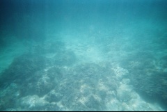 &nbsp;Select this image to see a larger version. 