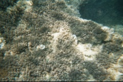 &nbsp;Select this image to see a larger version. 