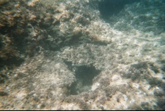 &nbsp;Select this image to see a larger version. 