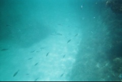 &nbsp;Select this image to see a larger version. 