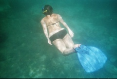 &nbsp;Select this image to see a larger version. 