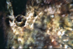 &nbsp;Select this image to see a larger version. 