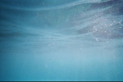 &nbsp;Select this image to see a larger version. 