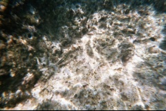 &nbsp;Select this image to see a larger version. 