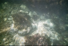 &nbsp;Select this image to see a larger version. 