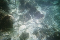 &nbsp;Select this image to see a larger version. 