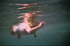 &nbsp;Select this image to see a larger version. 