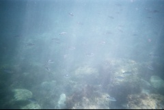 &nbsp;Select this image to see a larger version. 