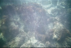 &nbsp;Select this image to see a larger version. 