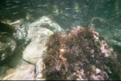 &nbsp;Select this image to see a larger version. 