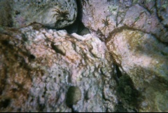 &nbsp;Select this image to see a larger version. 