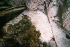 &nbsp;Select this image to see a larger version. 