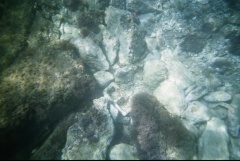 &nbsp;Select this image to see a larger version. 