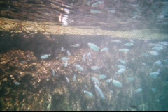 &nbsp;Select this image to see a larger version. 