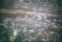 &nbsp;Select this image to see a larger version. 