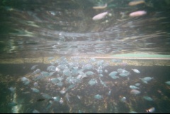 &nbsp;Select this image to see a larger version. 