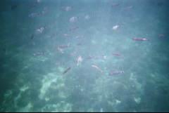 &nbsp;Select this image to see a larger version. 