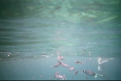 &nbsp;Select this image to see a larger version. 