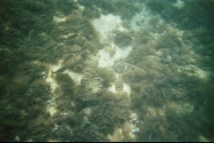 &nbsp;Select this image to see a larger version. 