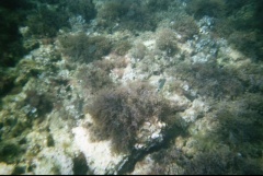 &nbsp;Select this image to see a larger version. 