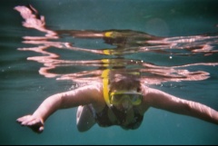 &nbsp;Select this image to see a larger version. 