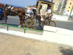 &nbsp;Select this image to see a larger version. 