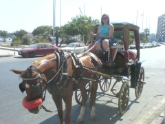 &nbsp;Select this image to see a larger version. 