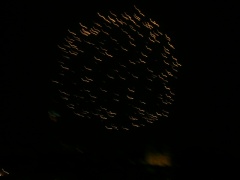 &nbsp;Select this image to see a larger version. 