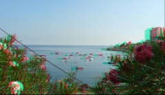 &nbsp;Select this image to see a larger version. 